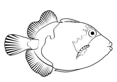 Titan Triggerfish (Balistoides Viridescens) Coloring Page